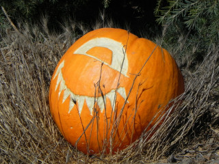 Happy Eye, Nipomo Pumpkin Patch best carving idea